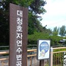 대전 대청호자연수변공원 이미지