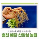 이금옥농장 이미지