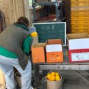 어물농장 이미지