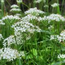 검지경로당 이미지