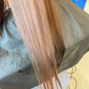 헬시체인지 | 대전 둔산동 미용실 블랙 빼기 후 헬시 브라운 염색 후기