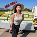 중고 1톤 트럭 끌고 포도 팔러 나갔습니다 이미지
