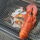 BBQ춘천강북점 | 가평빠지추천 가평빠지패키지 비버네선착장 리얼후기