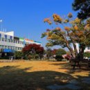 곡성-202 이미지