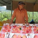 일등농장 이미지