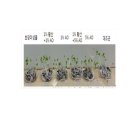황산제이 네이버블로그