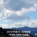 22.11.09(수) 오공걸음질 제31회-충주 비내섬 억새와 비내길 단풍(지행이 오공 대타로 일일 깃발) 사진-A 이미지