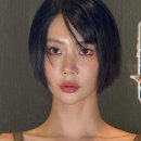 클라라헤어 이미지