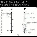 퍼플피자