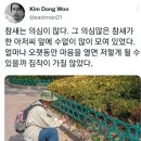 타코비 이미지