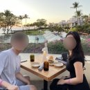 파인메르 이미지
