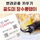 방꼬지길 이미지