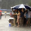 Jun fitted 이미지