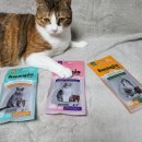 신진덴탈 이미지