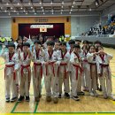 용인대호수태권도장 이미지