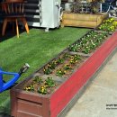 시우네 안경가게 이미지