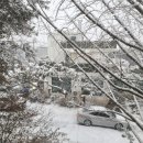 JJ스크린골프 이미지