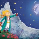 향기나라사랑이 이미지