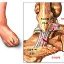 이황우에스제이의원 이미지