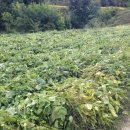 지성농장 이미지