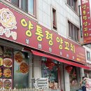 양통령 양꼬치