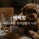 베베-멍 이미지