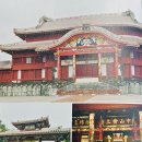 일본 오키나와 하늘을 나는 피카츄 프로젝트 - LeaLea 1일 관광투어 레아레아 츄라버스 오키나와 일일...