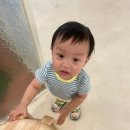 이닝슈