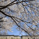 해넘이농장 | 수원 피크닉 명소 BEST ㅣ 연무대·창룡문 성곽길 봄나들이 완벽 가이드