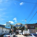 와수시장 이미지