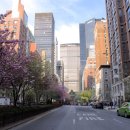 PARK AVENUE 이미지