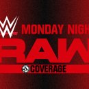 WWE RAW, 스맥다운 라이브, 레슬매니아35, 사샤 뱅크스, 임팩트 레슬링 外 이미지