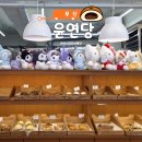 초량로 | 부산역 카페 윤연당 빵집｜단팥빵 내돈내산 솔직 후기