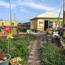 in 섬 story 이미지