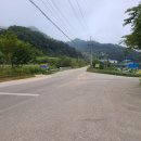 광치농장 | 21.9.11) - 과수원 사과따기체험, 사과수확, 밤줍기, 아이와 체험, 아이와 가볼만한 곳, 양구 사과농장