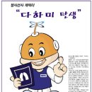 다하미 이미지