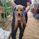 만천양지길 이미지