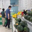소과담