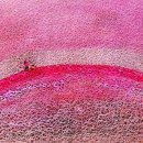 중2동-27 이미지