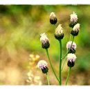 뿌리당구장 이미지