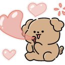 모모애견샵 이미지