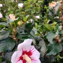 경섭농장 이미지