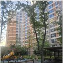 상봉대박공인중개사사무소 이미지