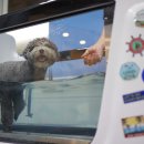 이지24시 이미지