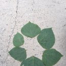 유성구 평생학습원 전민센터 3층 | 자연과 그림책으로 자녀교육하기, 학습3박자교실에서 신청해주세요!