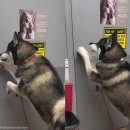 홈종합동물병원 이미지