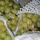 필승농장 이미지