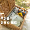 부여 돗자리 대여 [부여로 피크닉세트] 후기 및 예약 방법