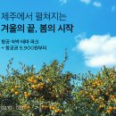있다마켓 뉴스1