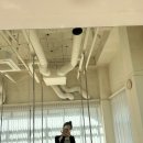 바벨폴댄스 이미지